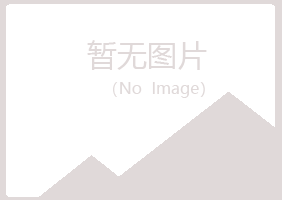 铜川晓夏咨询有限公司